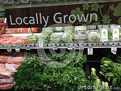 LOCAL HAWAIIAN FOOD Editorial Stock Photo