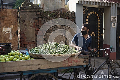 Local Indian vendor taking his fresh assorted green vegetables in the van during lock down period in India. Editorial Stock Photo