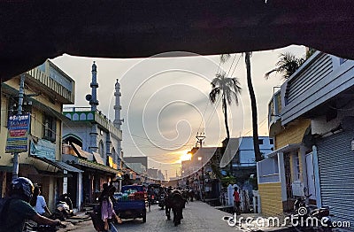 Local Instanbul common road for cattles and humans Editorial Stock Photo