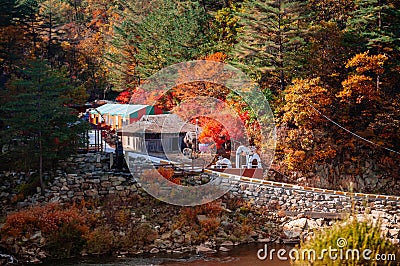 Local korean house in autumn forest at Baekdudaegan Mountain Ran Editorial Stock Photo