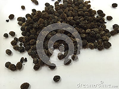 Local papaya seed in Thailand Stock Photo