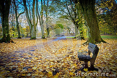 Local Park with public bench and fallen leaves in Kilmarnock East Ayrshire Scotland UK Stock Photo