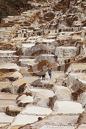 Local People working on Salt ponds, Maras, Peru Stock Photo