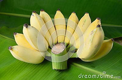 Local Thai Banana Stock Photo