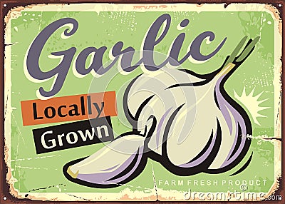 Locally grown garlic retro sign design Vector Illustration