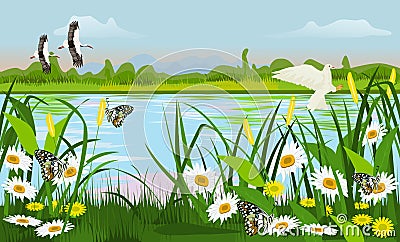 Location of the swamp with grass trees, flowers Butterfly and birds are flying Vector Illustration