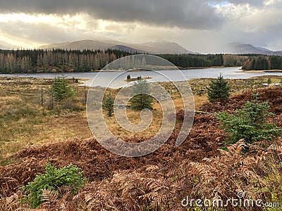 Loch Laggan - Scottish Highlands Stock Photo