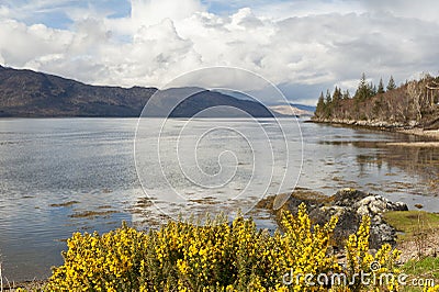 Loch Linnhe -Scotland Stock Photo