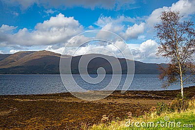 A View of Loch Linnhe Stock Photo