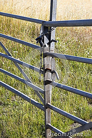 Locked metal framed farm gate Stock Photo