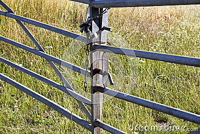 Locked metal framed farm gate Stock Photo