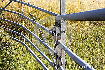 Locked metal framed farm gate Stock Photo