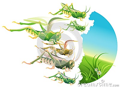 Locust Plague Vector Illustration