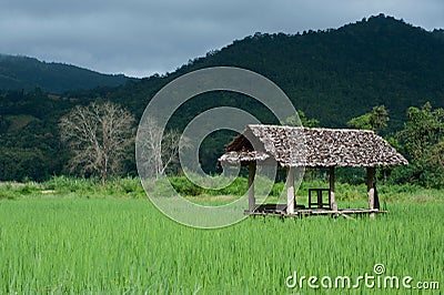 Lodging in the rice field . Stock Photo