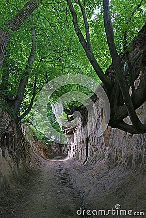 Loess park Stock Photo