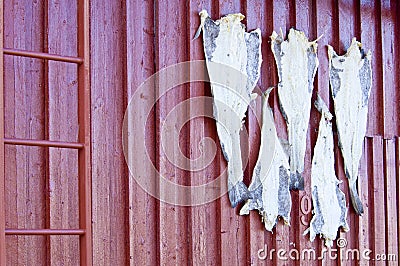 Lofoten - stockfish on the exterior wall Stock Photo