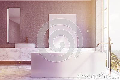 Loft bathroom, rectangular tub, side toned Stock Photo