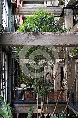 Loft interior of hotel lobby with winter garden, tropical plants. Plant lovers. Eco-friendly. Stock Photo