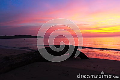 The log at beach with beautiful sunset Stock Photo