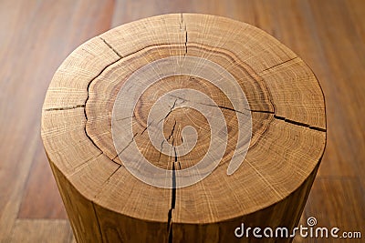 Log core against a wooden floor. Angle view. Stock Photo