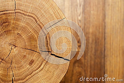 Log core against a wooden floor. Top view. Closeup. Background series. Stock Photo