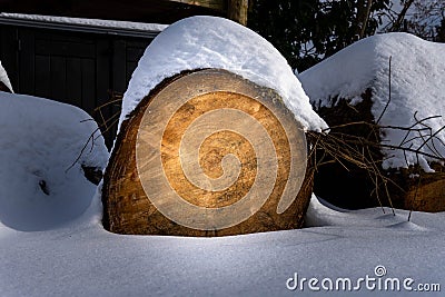 Log with a pile of snow on top Stock Photo