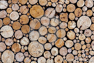 Log pile Stock Photo