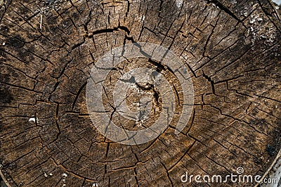 Log masonry. Corner of the log cabin made of logs. Old texture on old logs Stock Photo