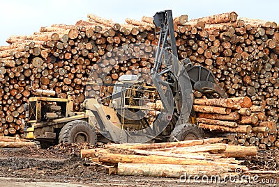 Log Yard Stock Images - Image: 32779344