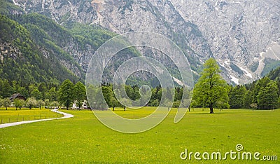 Logarska dolina/ Logar valley, Slovenia Stock Photo