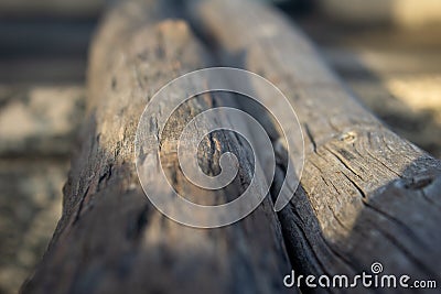 Logged trees next to each other and used in setting up temporary structures. Selective focus Stock Photo