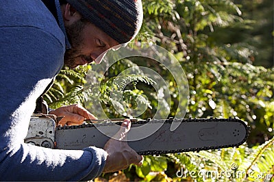 Logger Stock Photo