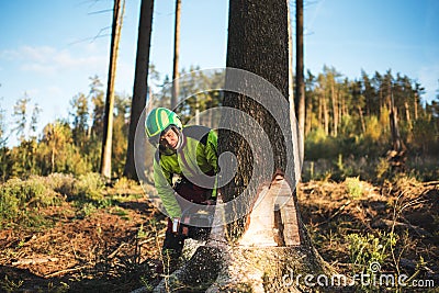 Logger man cutting a tree with chainsaw. Lumberjack working with chainsaw during a nice sunny day. Tree and nature. People at work Stock Photo