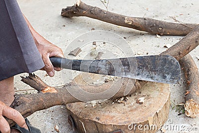 Logger man cutting wood. Stock Photo