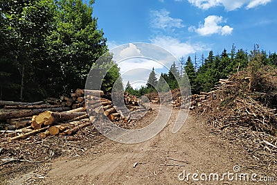 Logging companies restrict the passage on bike path of cyclists Stock Photo