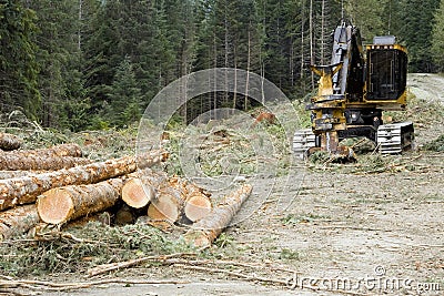 Logging Operation Stock Photo