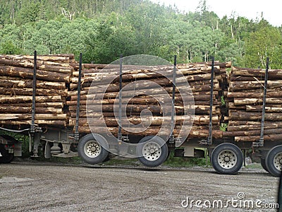 Logging Truck Stock Photo