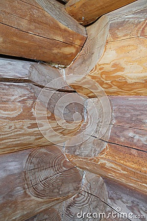 Loghause Stock Photo