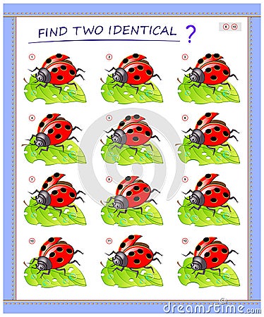 Logical puzzle game for little children. Need to find two identical ladybirds. Educational page for kids. Vector Illustration