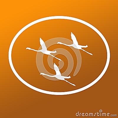 Logo Banner Image Flying Flamingo Birds in Oval Shape on Khaki Brown Background Stock Photo