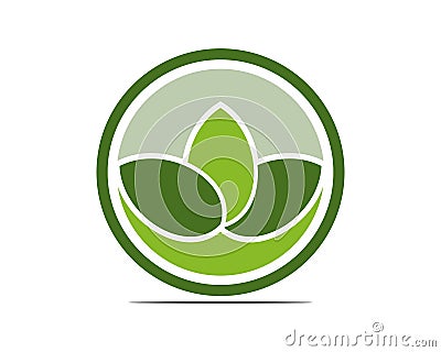 Green leaf and Yoga Vector Illustration