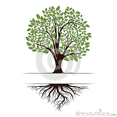 Logo of a green life tree with roots and leaves. Vector illustration icon isolated on white background Vector Illustration