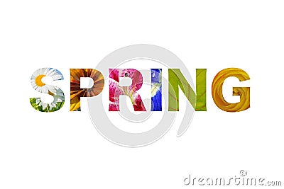 Logo lettering spring word - isolated over white Stock Photo