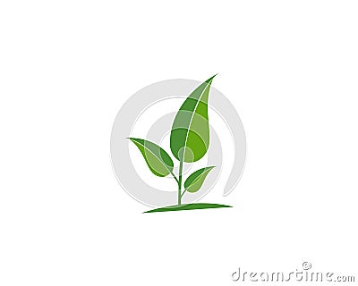 Logos of green Tree leaf ecology Vector Illustration