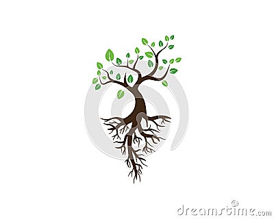 Logos of green Tree leaf ecology nature Vector Illustration