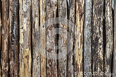 Logs background Stock Photo