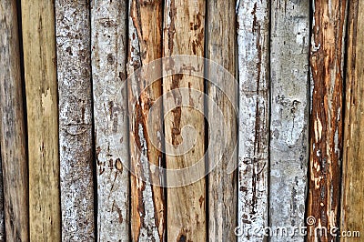 Logs background Stock Photo