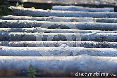 The logs are covered with frost in a row Stock Photo