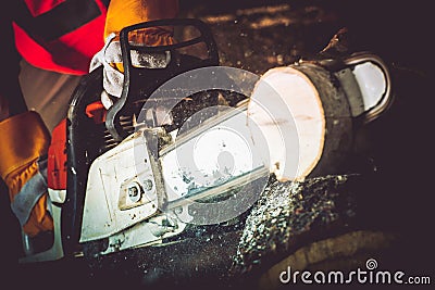 Logs Cutting Wood Cutter Stock Photo