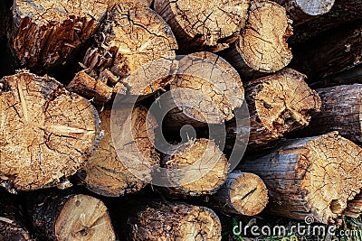 Logs horizontal stack dark brown trunks end pattern base Stock Photo